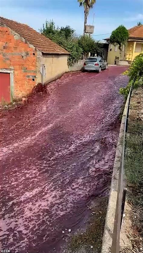 Streets in Portuguese town fill with red wine after distillery's tanks burst